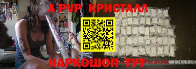 спиды Донской