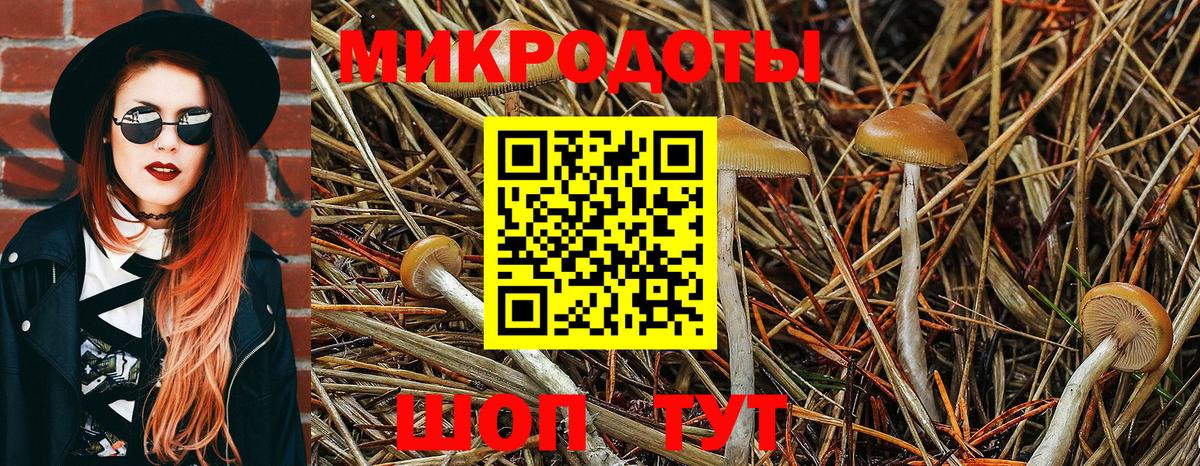 Псилоцибиновые грибы GOLDEN TEACHER  Вход с VPN  Курчатов 